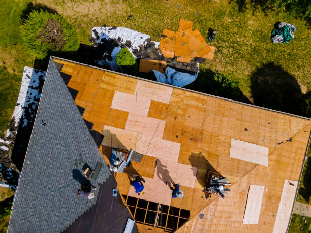 Best Roof Gutter Cleaning  in Anacoco, LA